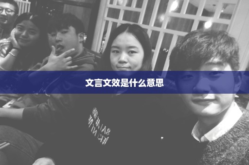 文言文效是什么意思