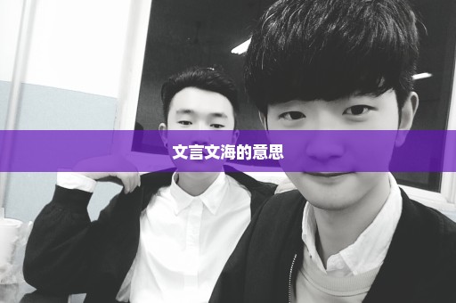 文言文海的意思