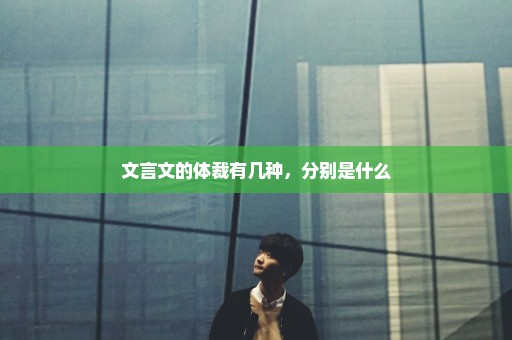 文言文的体裁有几种，分别是什么