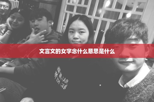 文言文的女字念什么意思是什么