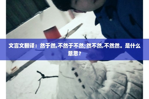 文言文翻译：然于然,不然于不然;然不然,不然然。是什么意思？