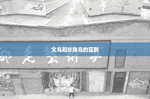 文鸟和珍珠鸟的区别
