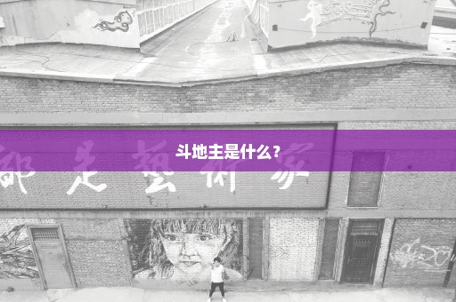 斗地主是什么？