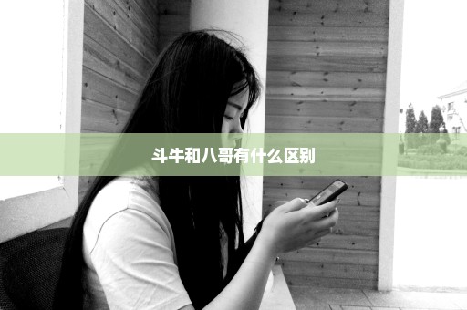 斗牛和八哥有什么区别