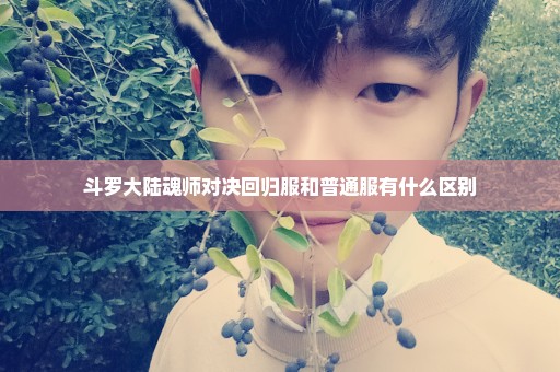斗罗大陆魂师对决回归服和普通服有什么区别