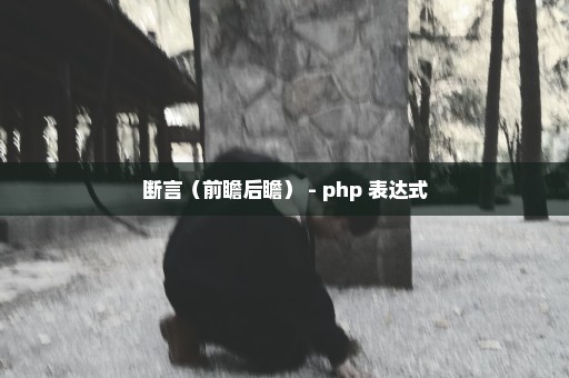 断言（前瞻后瞻） - php 表达式