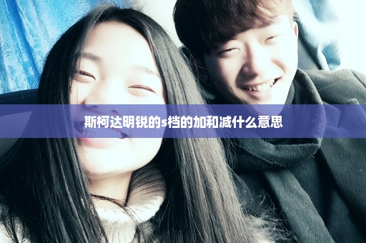 斯柯达明锐的s档的加和减什么意思