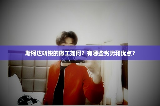 斯柯达昕锐的做工如何？有哪些劣势和优点？