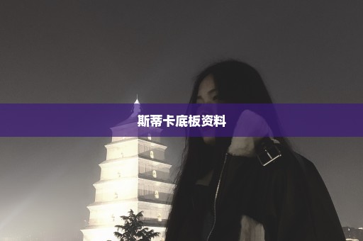 斯蒂卡底板资料