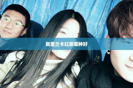 斯里兰卡红茶哪种好