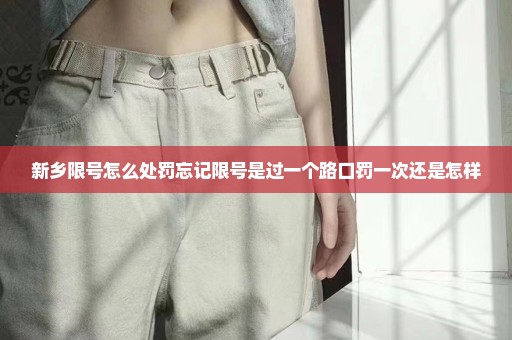 新乡限号怎么处罚忘记限号是过一个路口罚一次还是怎样