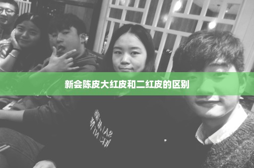 新会陈皮大红皮和二红皮的区别