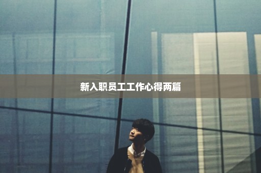 新入职员工工作心得两篇