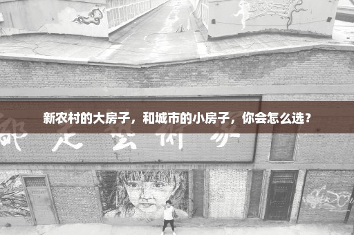 新农村的大房子，和城市的小房子，你会怎么选？