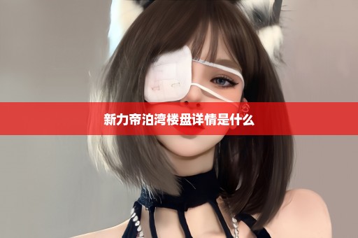 新力帝泊湾楼盘详情是什么