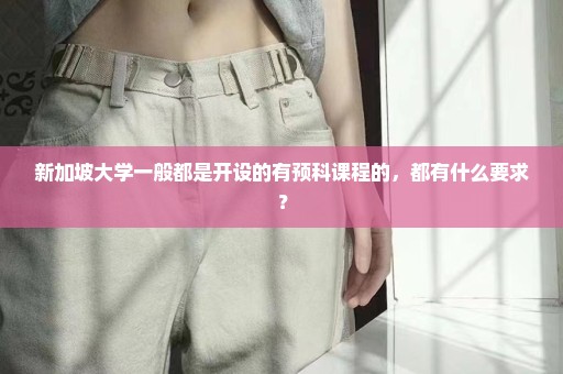 新加坡大学一般都是开设的有预科课程的，都有什么要求？