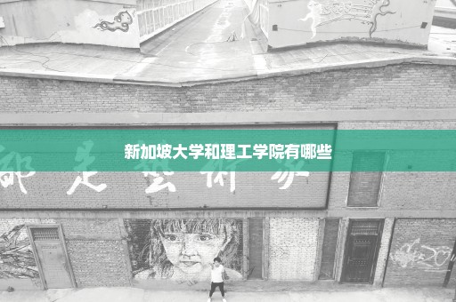 新加坡大学和理工学院有哪些