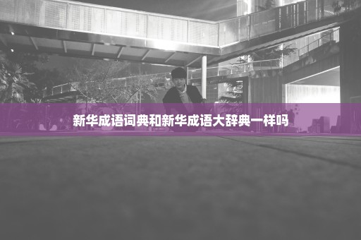 新华成语词典和新华成语大辞典一样吗