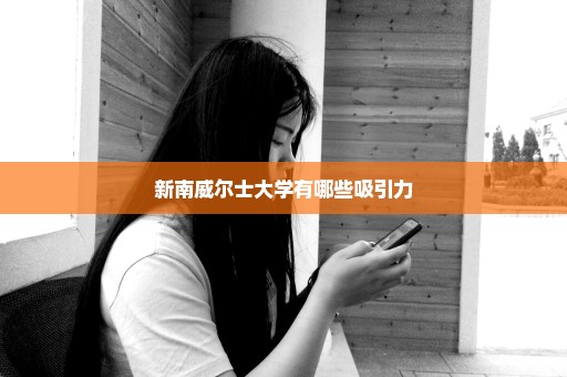 新南威尔士大学有哪些吸引力