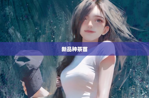 新品种茶苗