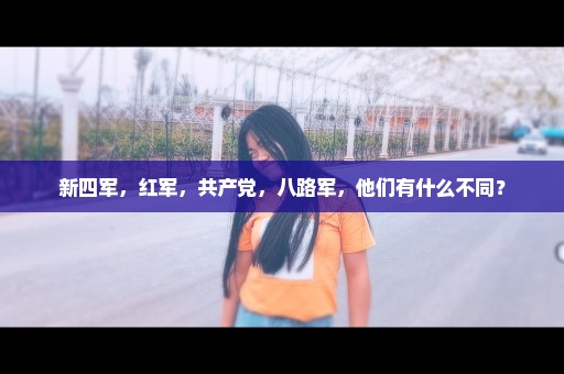 新四军，红军，共产党，八路军，他们有什么不同？