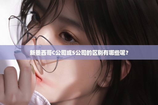 新墨西哥C公司或S公司的区别有哪些呢？
