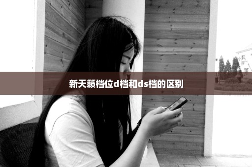 新天籁档位d档和ds档的区别
