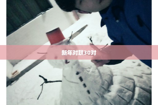 新年对联30对