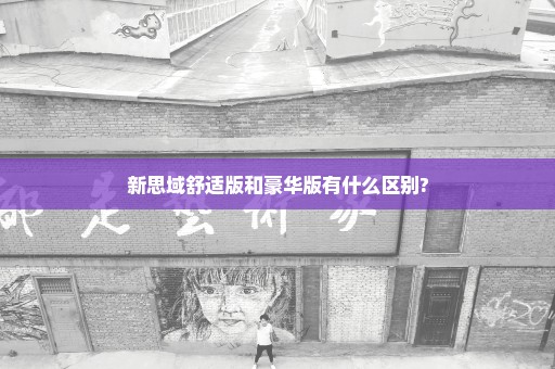 新思域舒适版和豪华版有什么区别?