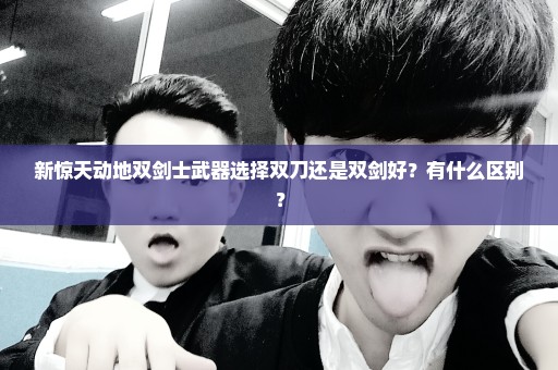 新惊天动地双剑士武器选择双刀还是双剑好？有什么区别？