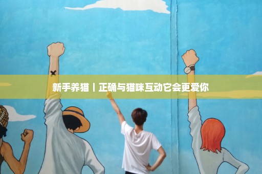 新手养猫｜正确与猫咪互动它会更爱你