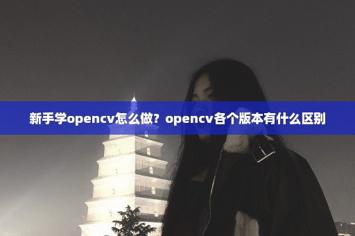 新手学opencv怎么做？opencv各个版本有什么区别