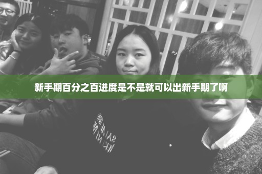 新手期百分之百进度是不是就可以出新手期了啊
