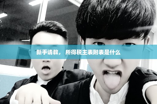 新手请教， 所得税主表附表是什么