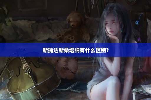 新捷达新桑塔纳有什么区别?