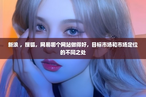 新浪 ，搜狐，网易哪个网站做得好，目标市场和市场定位的不同之处