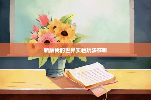 新版我的世界实验玩法在哪