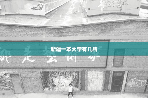 新疆一本大学有几所