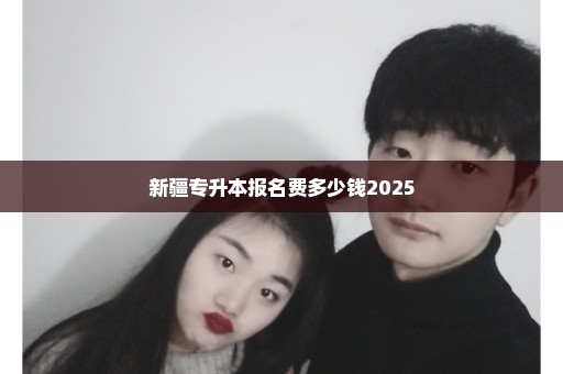 新疆专升本报名费多少钱2025