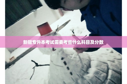 新疆专升本考试需要考些什么科目及分数