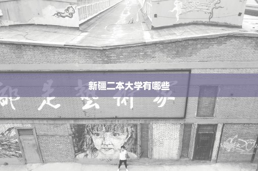 新疆二本大学有哪些