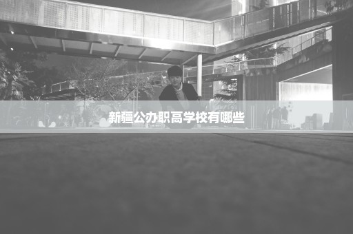 新疆公办职高学校有哪些