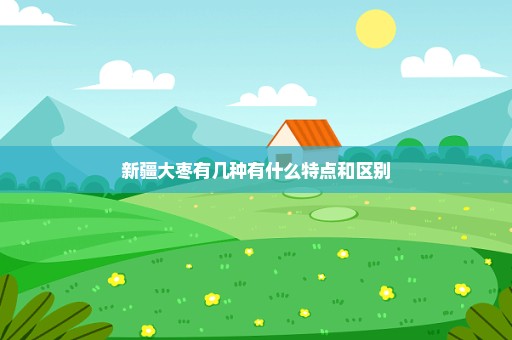 新疆大枣有几种有什么特点和区别