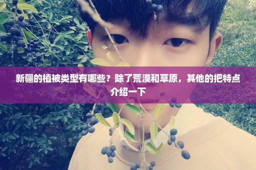 新疆的植被类型有哪些？除了荒漠和草原，其他的把特点介绍一下