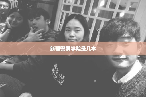 新疆警察学院是几本