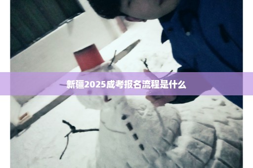 新疆2025成考报名流程是什么