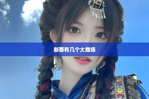 新蔡有几个大商场