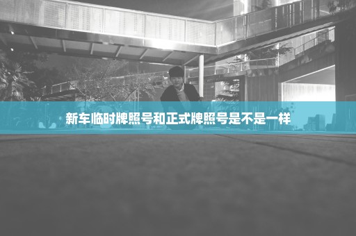 新车临时牌照号和正式牌照号是不是一样