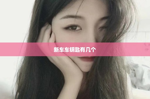 新车车钥匙有几个