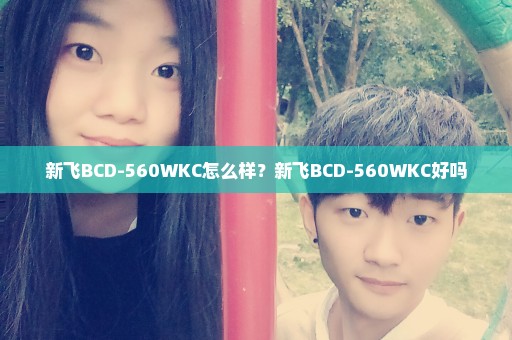 新飞BCD-560WKC怎么样？新飞BCD-560WKC好吗